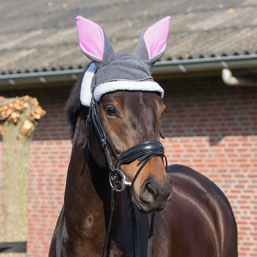 QHP Easter bunny ears hat horse - Grey 