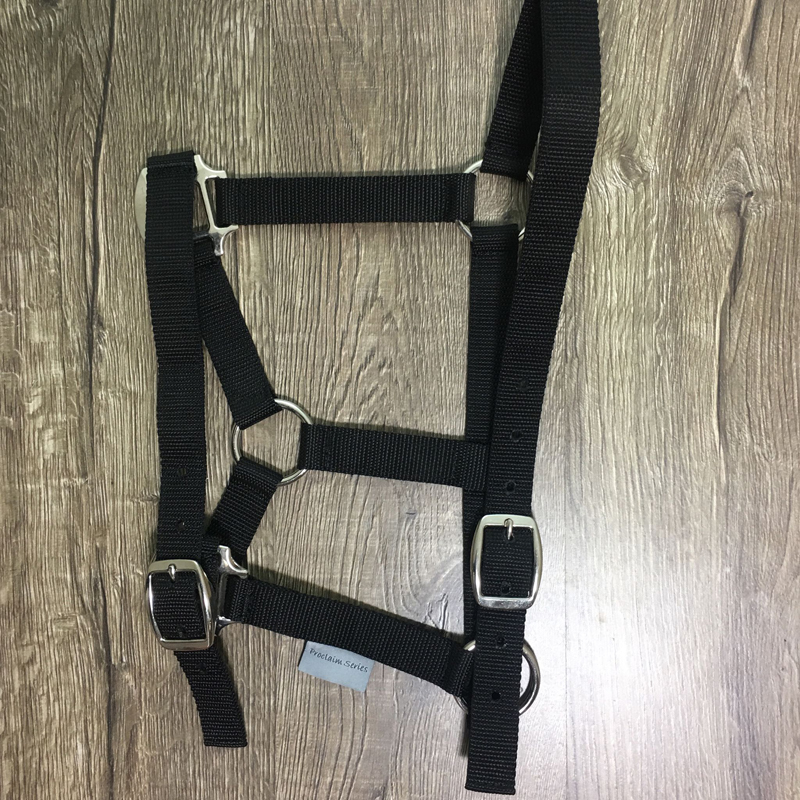 Exclusive Equine Proclaim Daily Halter - Picture 53 of 70