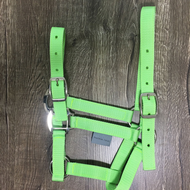 Exclusive Equine Proclaim Daily Halter - Picture 35 of 70