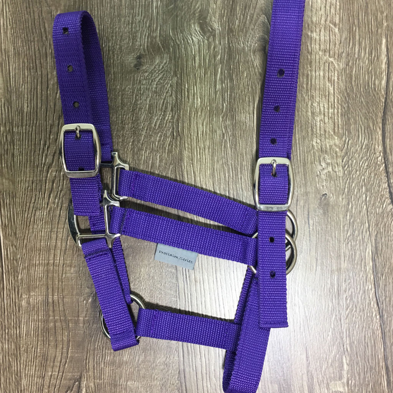 Exclusive Equine Proclaim Daily Halter - Picture 44 of 70