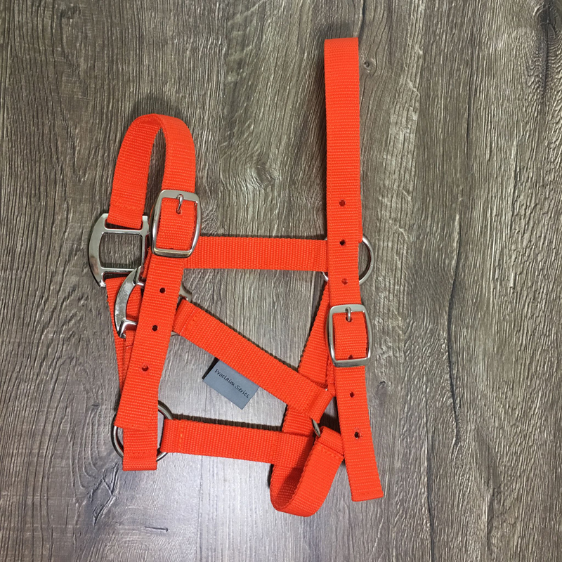 Exclusive Equine Proclaim Daily Halter - Picture 54 of 70