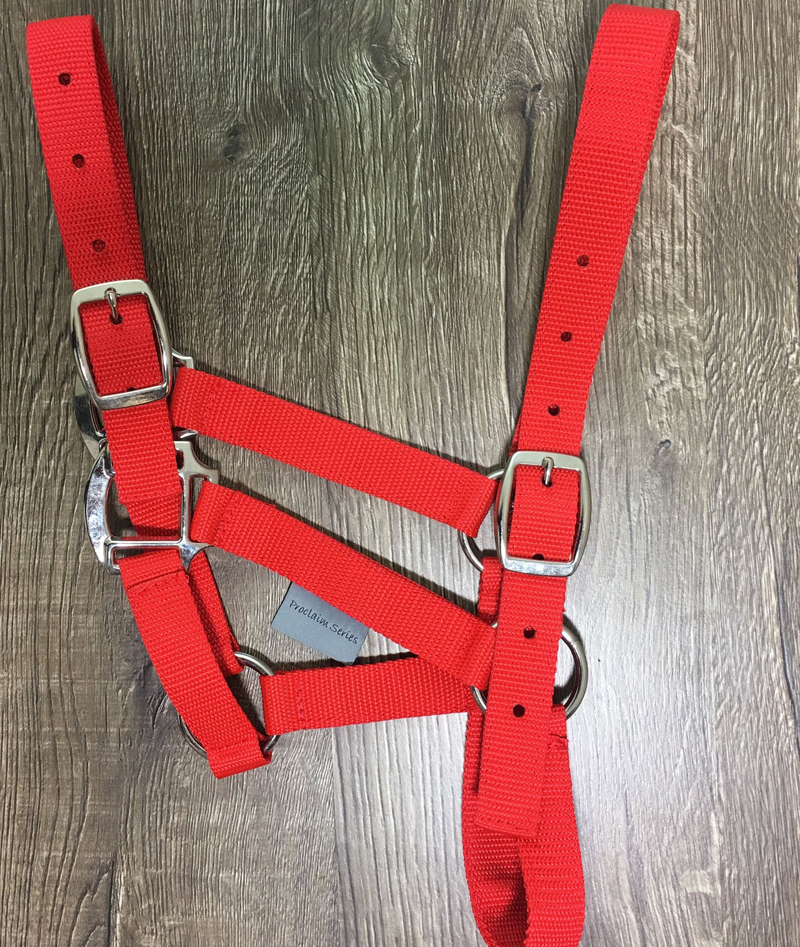 Exclusive Equine Proclaim Daily Halter - Picture 9 of 70