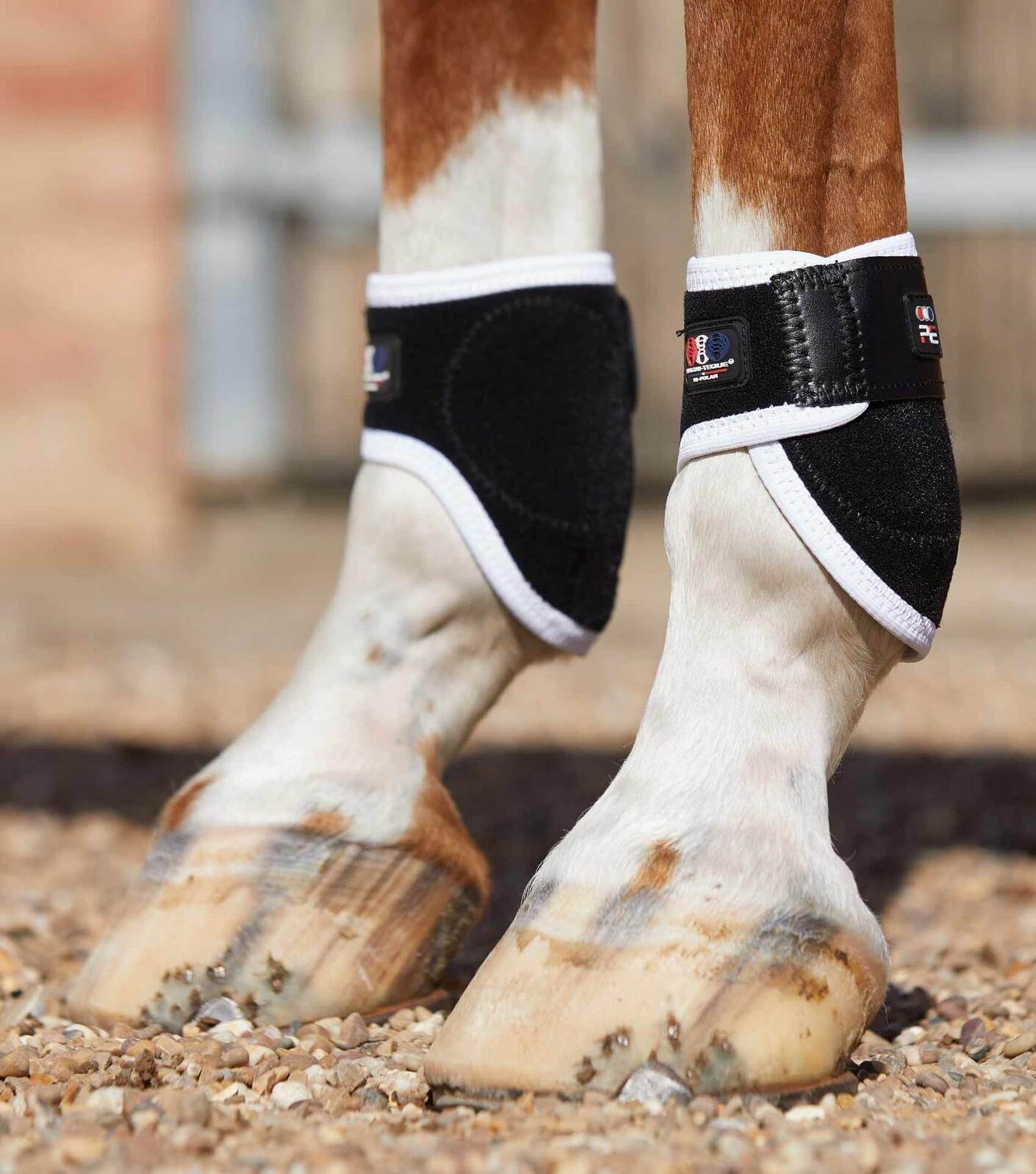 Premier Bi-Polar Magnetic Fetlock Boots