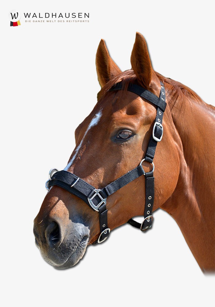 Waldhausen Lightweight Lunging Cavesson Black