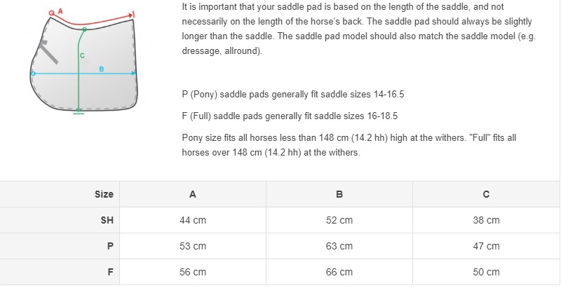 Shetland Pony Rug Size Chart