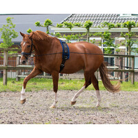 QHP Lunging Rein Double Black