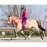 QHP Rope halter with rein