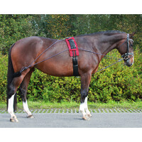 QHP Lunging Training System - Black