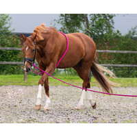 QHP Lunging Rope