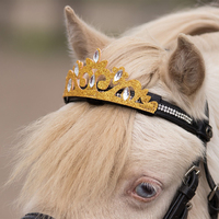 QHP Gold Horse Crown