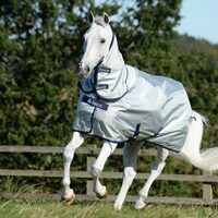 Bucas Power Turnout Light with Combi Neck