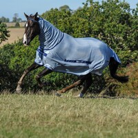 Bucas Buzz Off Fly Rug Combo