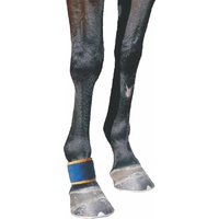 Dick Wicks Magnetic Pastern / Fetlock Boot