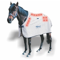 Dick Wicks Magnetic Horse Rug