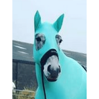 HorzeHood With Ears - Turquoise