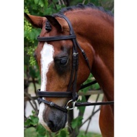 Flexible Fit Gel Padded English Leather Bridle