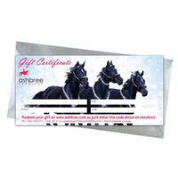 $100 Christmas Gift Certificate