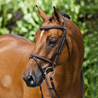 Constance Bridle - Brown