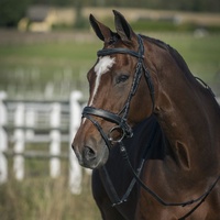 Venice Bridle - Black