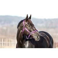 Horze Halter - Purple