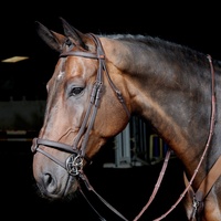 John Whitaker Ready to Ride Snaffle Bridle - Black Size: Pony Only