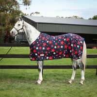 Eureka Star Polar Fleece Rug