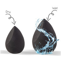 Nags To Riches Makeup Sponge