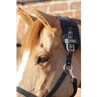 Premier Equine Bi-Polar Magnet Poll Band