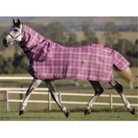 Kool Master Shade Mesh Combo - Pink/Purple - Size: 6'9 only