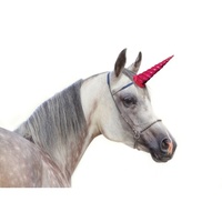 Clip-On Unicorn Horn