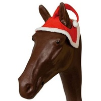 Christmas Horse Santa Hat