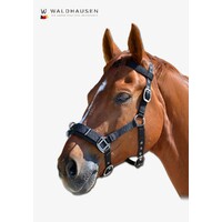 Waldhausen Lightweight Lunging Cavesson - Black