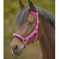 Waldhausen Lunging Cavesson & Rope Set - Pink