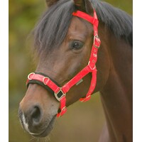 Waldhausen Lunging Cavesson & Rope Set - Red-PONY