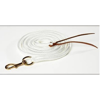 Training Rope with Gold Clip