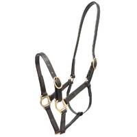 Zilco 19mm PN Halter - Pony