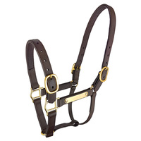 Zilco Epsom PN Deluxe Halter