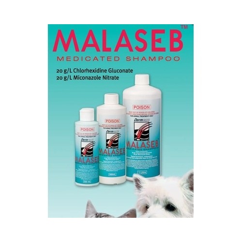 malaseb for horses