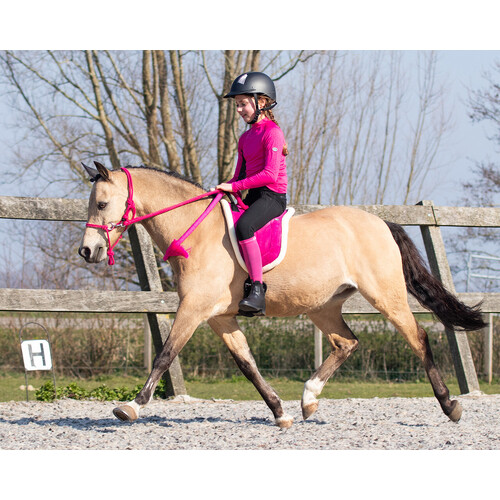 QHP Rope halter with rein