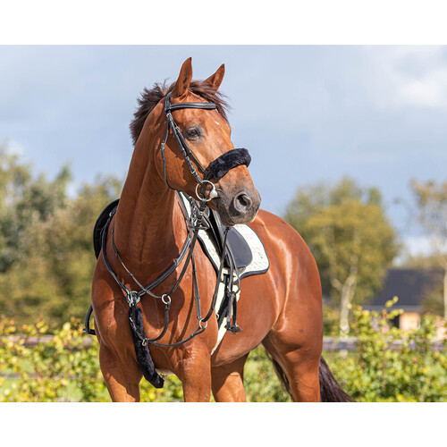 QHP Bridle cover fur