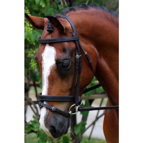 Flexible Fit Gel Padded English Leather Bridle