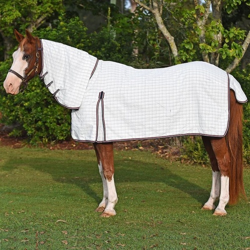 Finn Tack Suncooler Combo rug