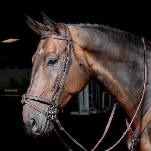 John Whitaker Ready to Ride Snaffle Bridle - Black Size: Pony Only