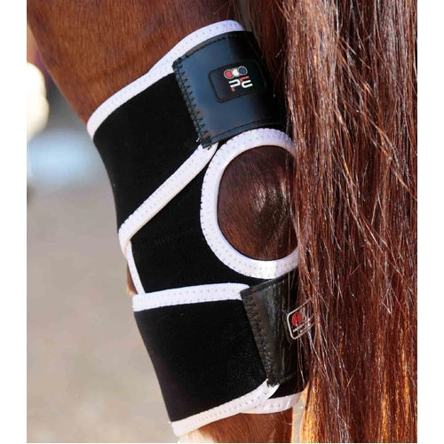 PEI Magni-Teque Magnetic Hock Boots
