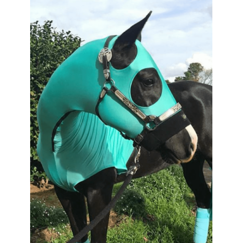HorzeHood No Ears - Turquoise