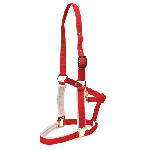 Christmas Halter