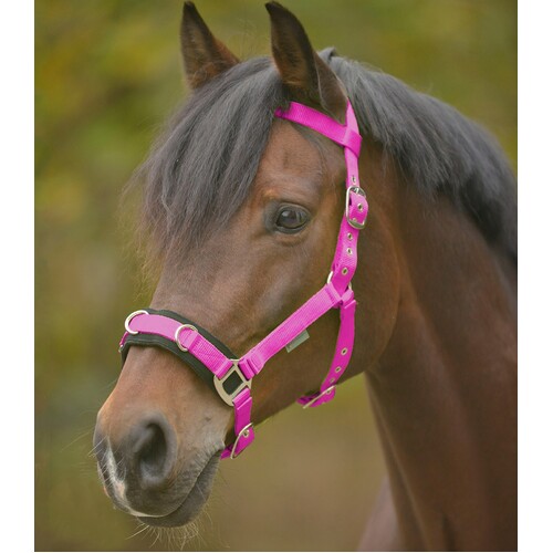 Waldhausen Lunging Cavesson & Rope Set - Pink