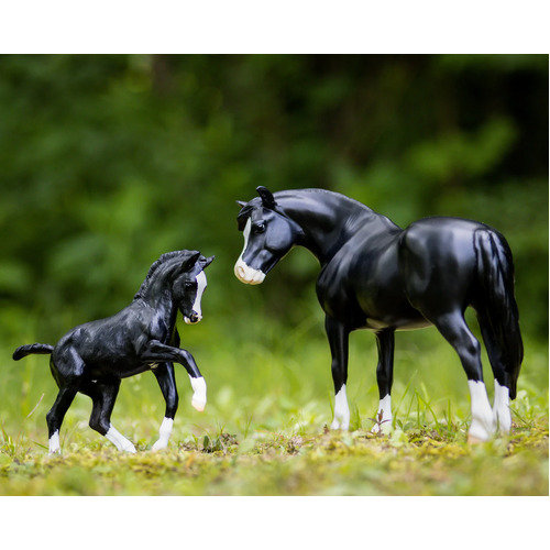 Breyer Traditional Nistar Blazing Kansas & Ethel