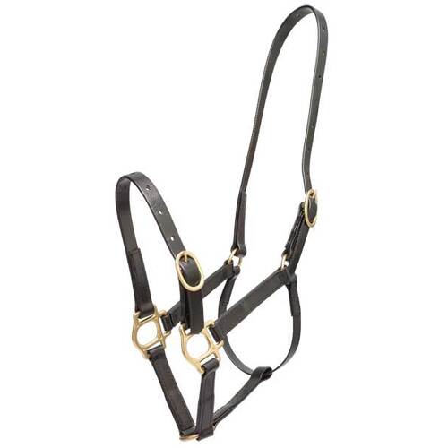 Zilco 19mm PN Halter - Pony