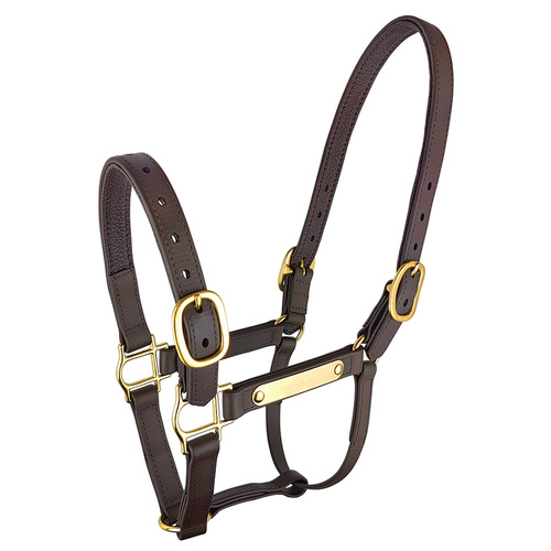 Zilco Epsom PN Deluxe Halter